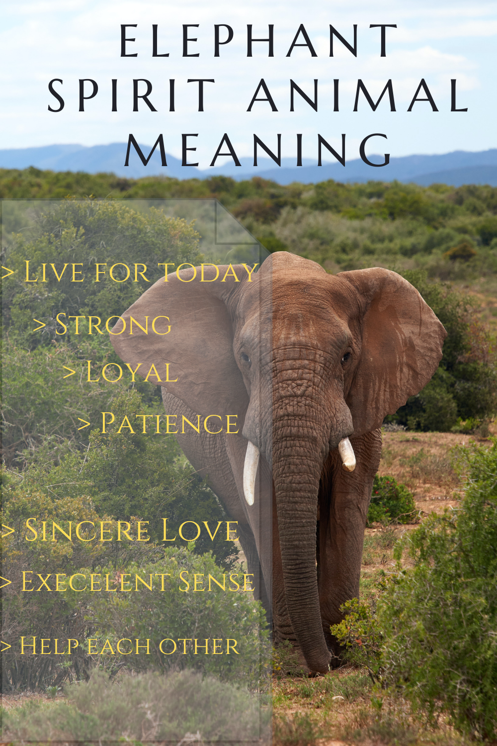spirit animal elephant meaning