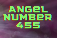 455 angel number means in love