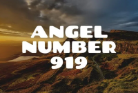 What Does Angle Number 919 Mean?